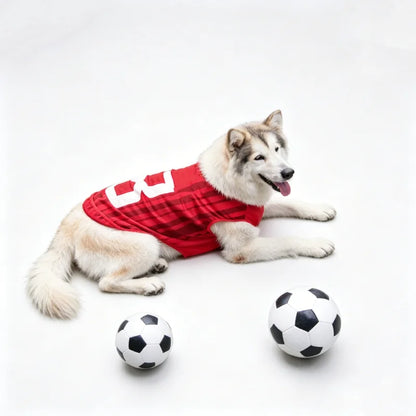 2026 Soccer Pet Football Jersey 