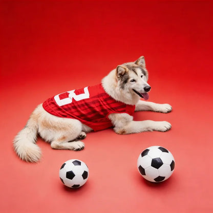 2026 Soccer Pet Football Jersey 