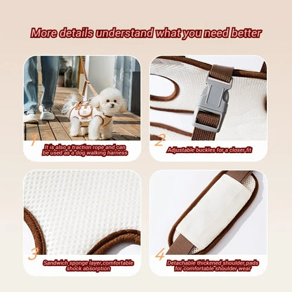 Carrying bag for small-medium dogs