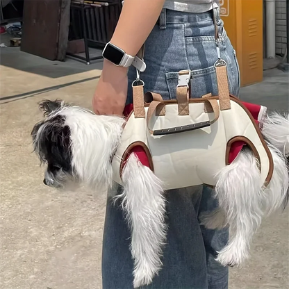 Carrying bag for small-medium dogs