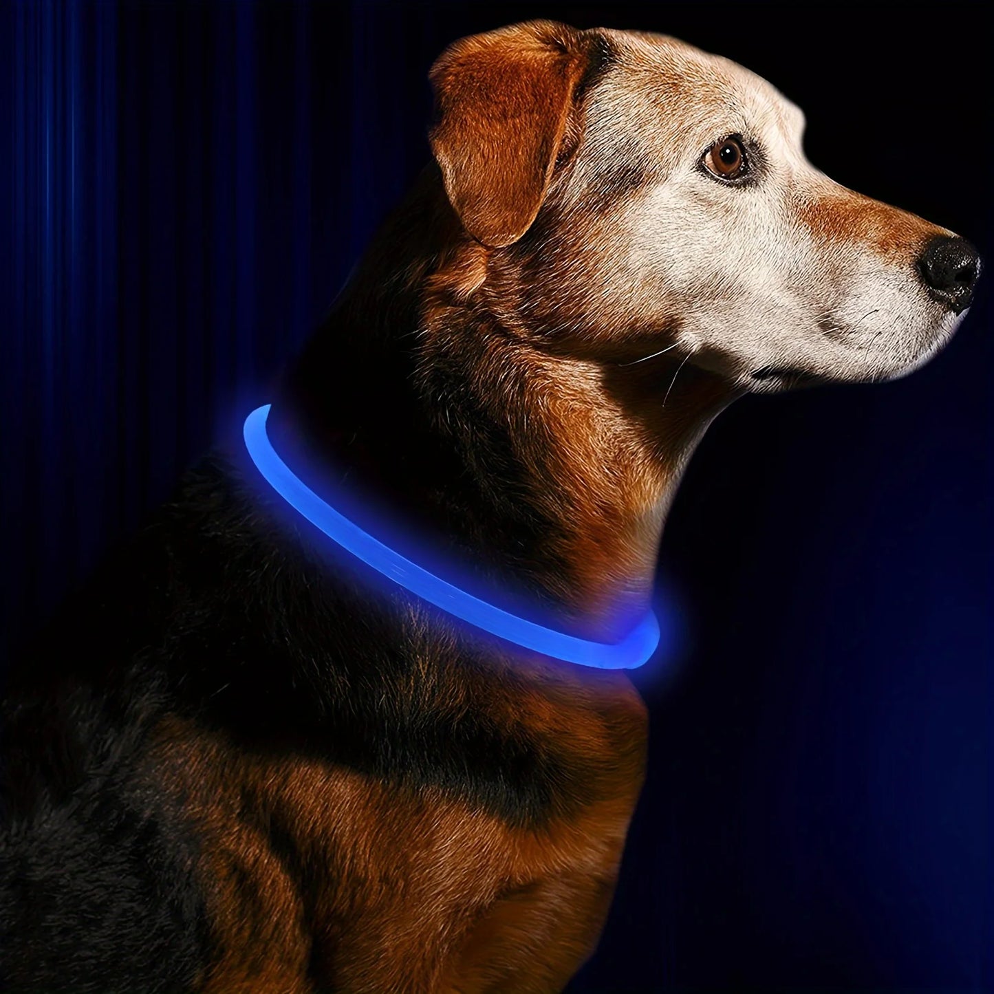 LED Light Collar Luminous Anti-Lost Dog Collar USB Rechargeable Dog  Collar