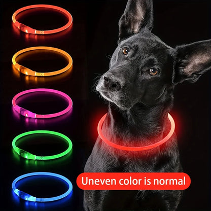 LED Light Collar Luminous Anti-Lost Dog Collar USB Rechargeable Dog  Collar