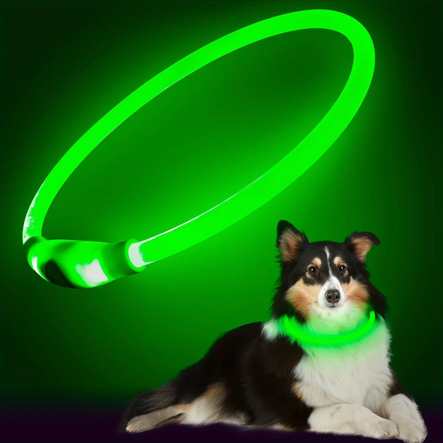 LED Light Collar Luminous Anti-Lost Dog Collar USB Rechargeable Dog  Collar