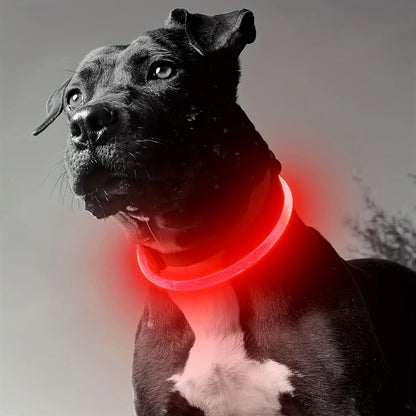 LED Light Collar Luminous Anti-Lost Dog Collar USB Rechargeable Dog  Collar